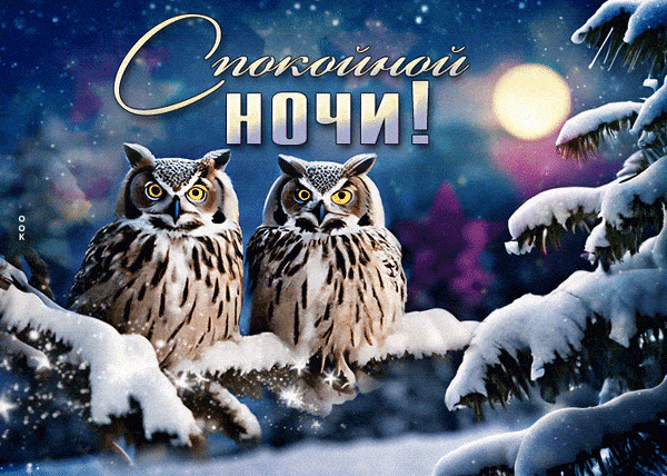 Открытка «Животное»: Спокойной ночи! Совы на снежной ветке. Тэги: красивая, зима, природа, снег, лес, ветка, сова…