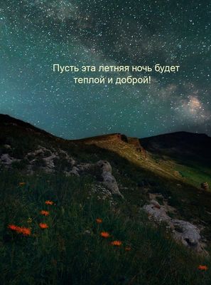Открытка «Пожелание»: Добрый летний вечер: теплой ночи и звездного неба!. Тэги: красивая, цветок, настроение, лето…