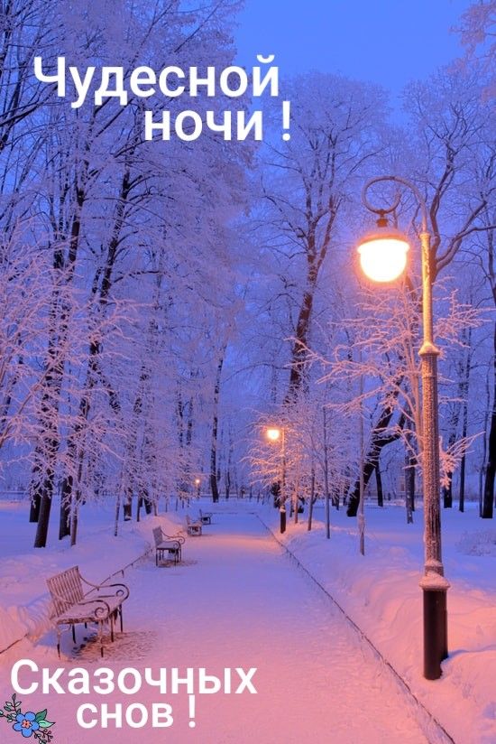 Открытка «Пожелание»: «Чудесной ночи!» Красивый зимний пейзаж и сладких снов. Тэги: красивая, фонарь, настроение…