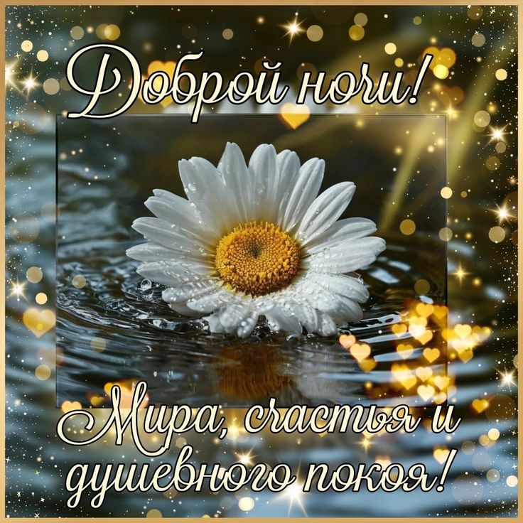 Открытка «Пожелание»: Доброй ночи! Мира, счастья и душевного покоя!. Тэги: красивая, позитив, сердце, цветок, настрое…