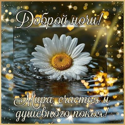 Открытка «Пожелание»: Доброй ночи! Мира, счастья и душевного покоя!. Тэги: красивая, позитив, сердце, цветок, настрое…