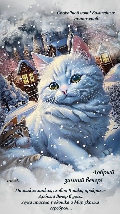 Открытка «Спокойной ночи»: Зимний вечер с котами: волшебных снов!. Тэги: пожелание, кот, милый, сказочный, зима…