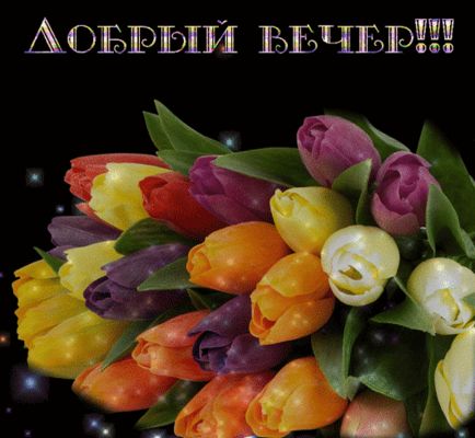 Открытка «Анимационный»: Доброй ночи: Яркие тюльпаны. Тэги: Добрый вечер и пожелания, Добрый вечер женщине, Доброго в…