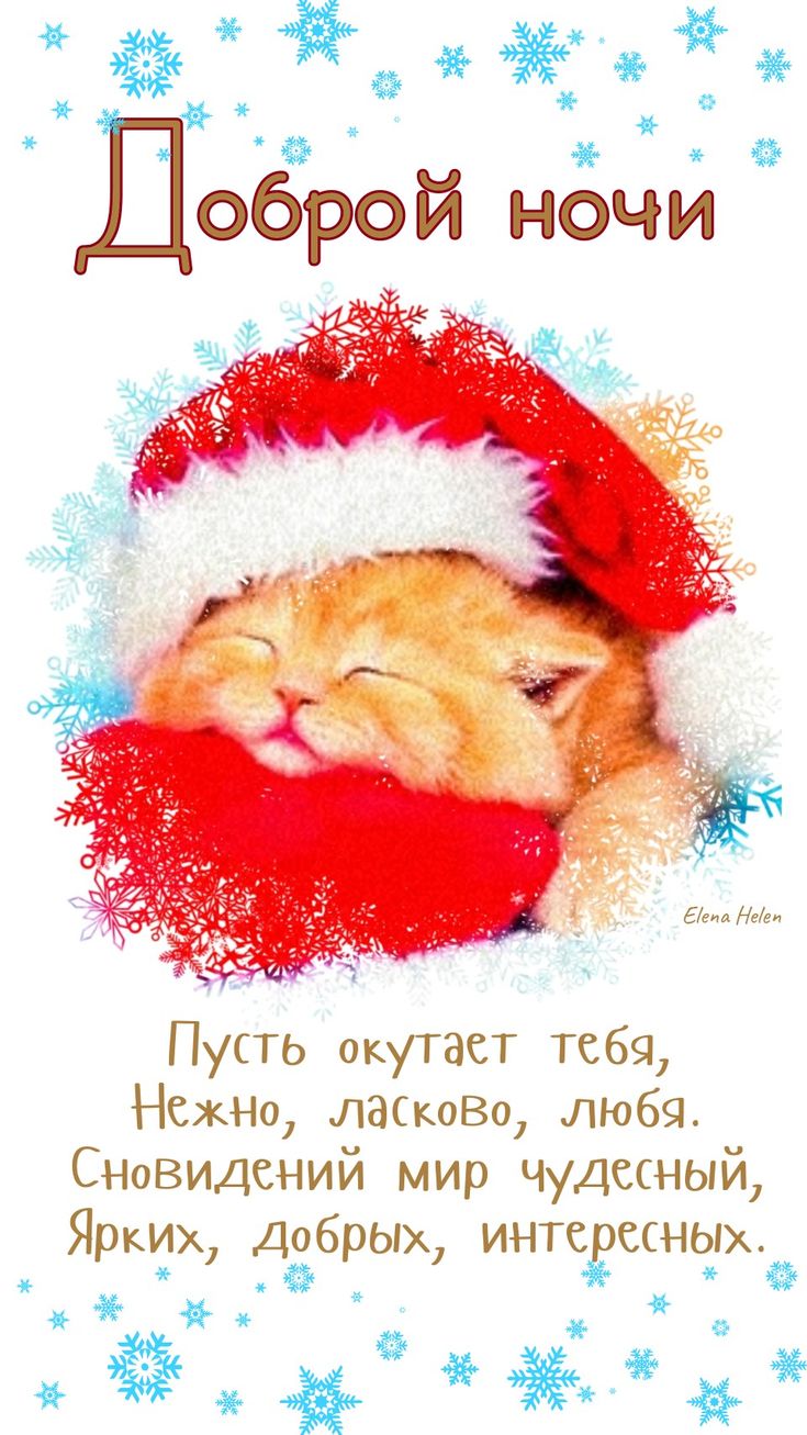 Открытка «Доброй ночи»: Добрый ночи: милый котёнок в новогодней шапке. Тэги: Спокойной ночи, интересный, Доброй и спо…