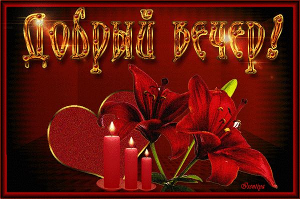 Открытка «Красивая»: Добрый вечер! Открытка с лилиями и свечами. Тэги: сердце, цветок, настроение, нежная, милая…