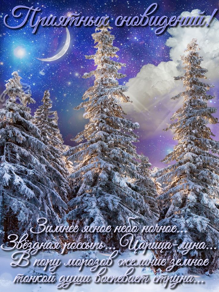 Открытка «Пожелание»: Приятных сновидений! Зимняя ночь, ели в снегу. Тэги: красивая, нежная, зима, природа, ель, снег…