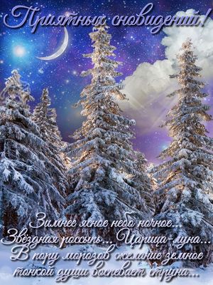 Открытка «Пожелание»: Приятных сновидений! Зимняя ночь, ели в снегу. Тэги: красивая, нежная, зима, природа, ель, снег…