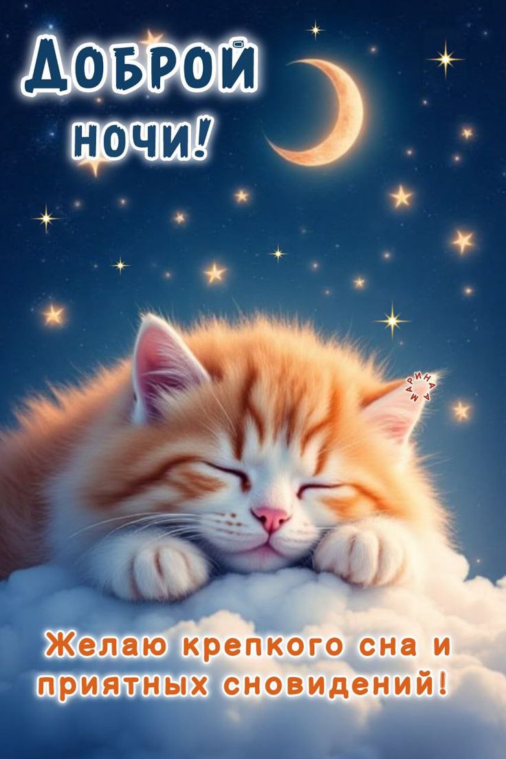 Открытка «Кот»: Доброй ночи! Сладких снов и крепкого сна всем!. Тэги: животное, пожелание, красивая, позитив, радость…