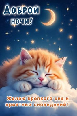 Открытка «Кот»: Доброй ночи! Сладких снов и крепкого сна всем!. Тэги: животное, пожелание, красивая, позитив, радость…