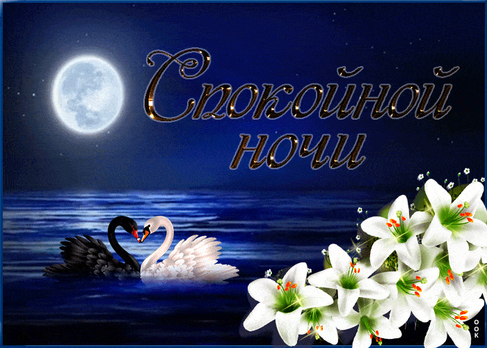 Открытка «Животное»: Спокойной ночи: Красивая открытка с лебедями и цветами. Тэги: пожелание, красивая, цветок…