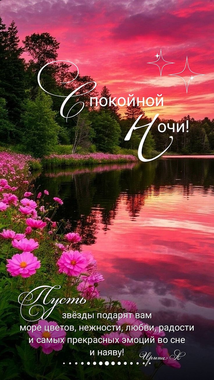 Открытка «Пожелание»: Спокойной Ночи! Волшебная открытка с пожеланием любви. Тэги: радость, цветок, нежность, природа…