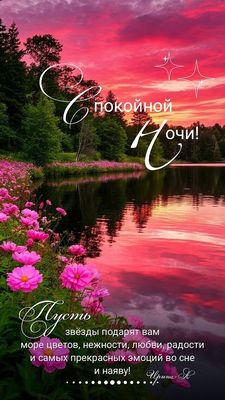 Открытка «Пожелание»: Спокойной Ночи! Волшебная открытка с пожеланием любви. Тэги: радость, цветок, нежность, природа…