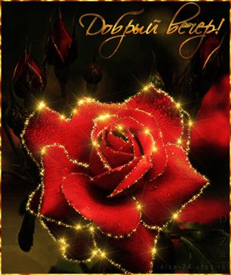 Открытка «Красивая»: Добрый вечер! Красивая мерцающая открытка с розой. Тэги: цветок, нежная, роза, любовь, бутон…