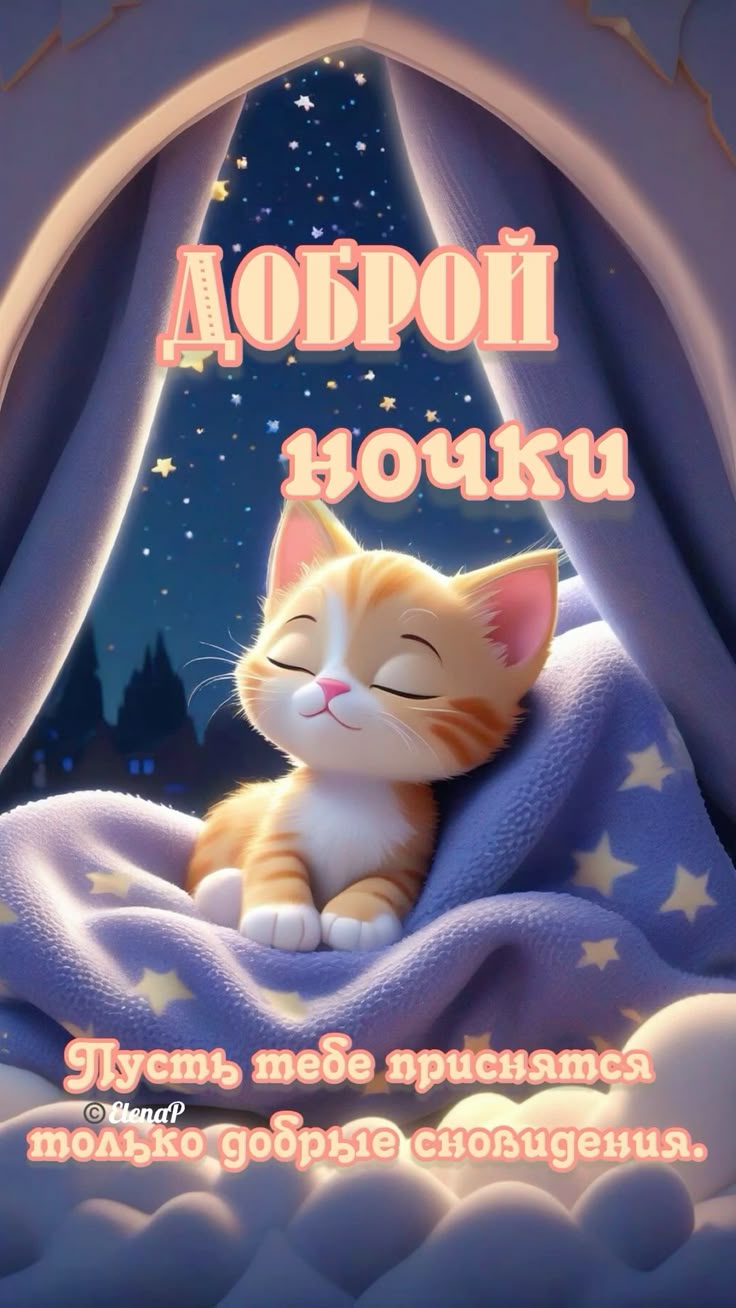Открытка «Животное»: Добрый ночи! Милый кот в уютной постели.. Тэги: пожелание, позитив, нежная, подушка, милая, котик…
