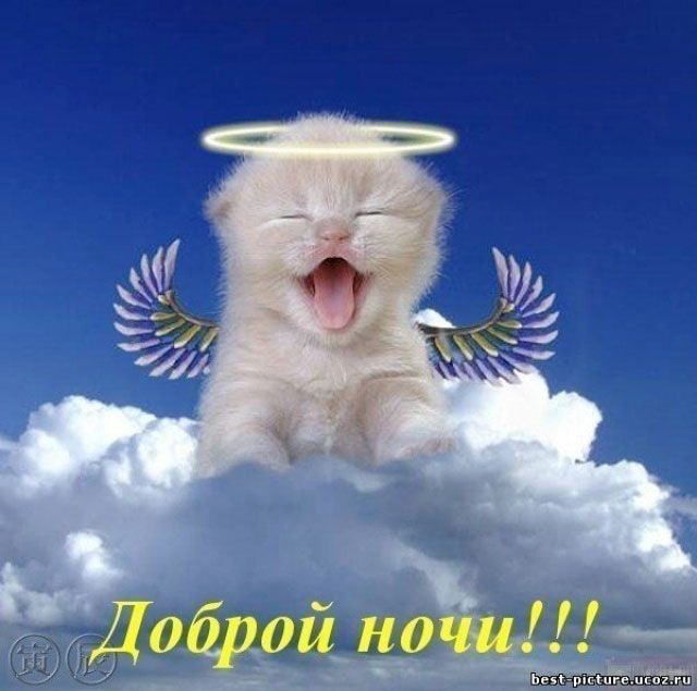 Открытка «Доброй ночи»: Добрый ночи! Милый ангел кот на облаке. Тэги: Спокойной ночи, Спокойной ночи, красивые…