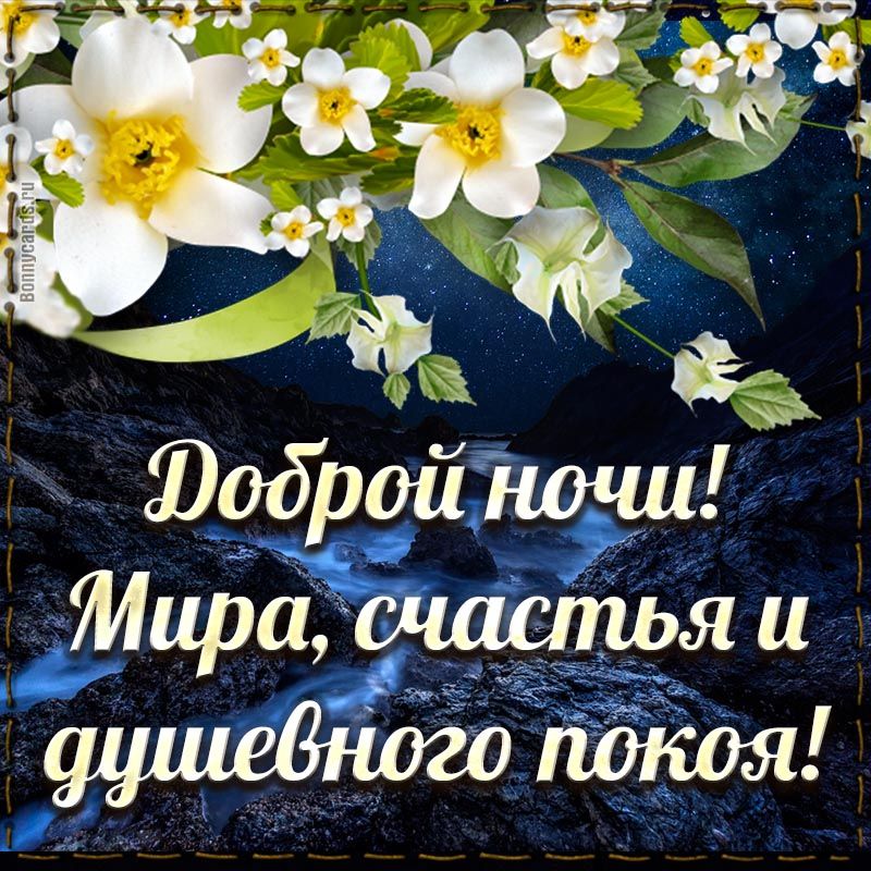 Открытка «Пожелание»: Добрый ночи! Мира, счастья и душевного покоя!. Тэги: красивая, цветок, счастье, нежная, природа…