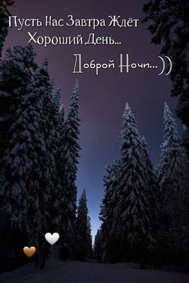 Открытка «Пожелание»: Добрый Ночи: Пусть Завтра Ждет Хороший День. Тэги: утро, настроение, зима, природа, ель, снег…