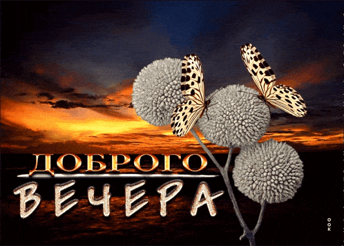 Открытка «Необычный добрый вечер»: Добрый вечер: стильная открытка с бабочками и закатом. Тэги: Доброго летнего вечера…