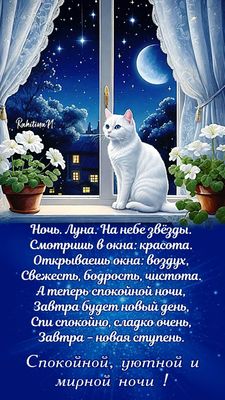 Открытка «Доброй ночи»: Спокойной, уютной и мирной ночи — красивая открытка с котом. Тэги: Спокойной ночи, Спокойной…