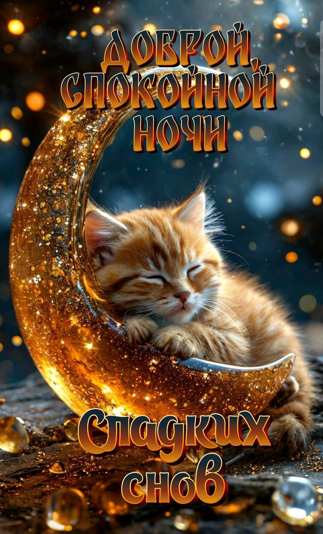 Открытка «Кот»: Добрый ночь и сладких снов. Тэги: животное, пожелание, красивая, настроение, милая, любимый, любимая…