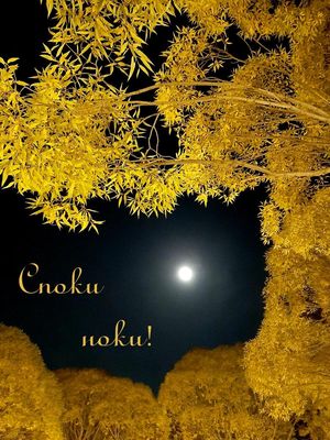 Открытка «Пожелание»: Доброй ночи! Красивая открытка с сияющей луной. Тэги: красивая, уют, дерево, природа, отдых…