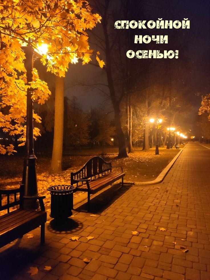 Открытка «Красивая»: Спокойной ночи осенью! Уютный осенний вечер. Тэги: осень, фонарь, настроение, природа, лист…