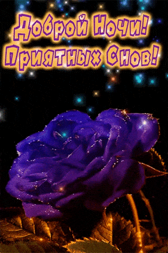 Открытка «Красивая»: Доброй ночи! Приятных снов! Нежная роза. Тэги: цветок, нежная, роза, синий, фиолетовый, анимация…