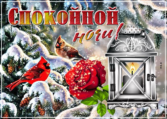 Открытка «Животное»: Спокойной ночи! Зимняя сказка и птицы. Тэги: красивая, цветок, фонарь, настроение, птица, нежная…