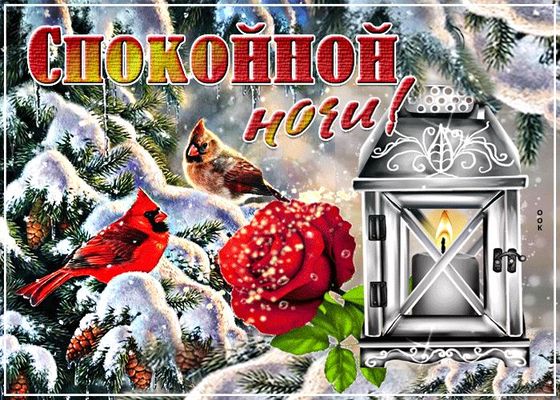 Открытка «Животное»: Спокойной ночи! Зимняя сказка и птицы. Тэги: красивая, цветок, фонарь, настроение, птица, нежная…
