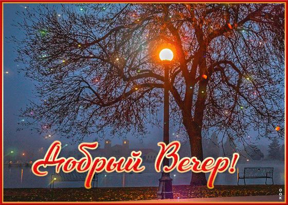 Открытка «Пожелание»: Добрый Вечер! Уютный пейзаж с мерцающими огоньками. Тэги: красивая, фонарь, настроение, дерево…