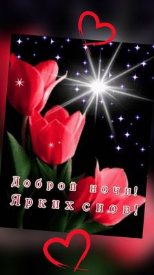 Открытка «Пожелание»: Спокойной ночи! Ярких снов! Красивая мерцающая открытка. Тэги: красивая, любимый, тюльпан…