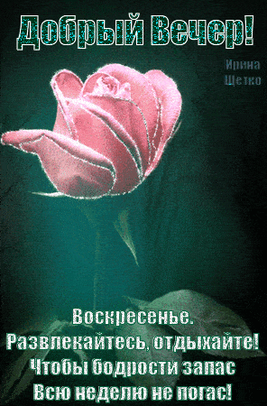 Открытка «Добрый вечер и пожелания»: Добрый вечер, воскресенье! Отдыхайте с розой!. Тэги: Добрый вечер красивые…