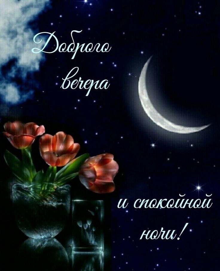 Открытка «Доброй ночи»: Добрый вечер и спокойная ночь. Тэги: Спокойной ночи, Добрый вечер и пожелания, Добрый вечер к…
