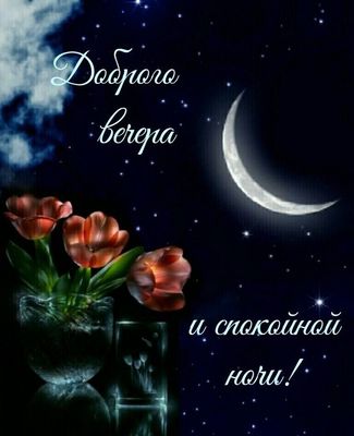 Открытка «Доброй ночи»: Добрый вечер и спокойная ночь. Тэги: Спокойной ночи, Добрый вечер и пожелания, Добрый вечер к…