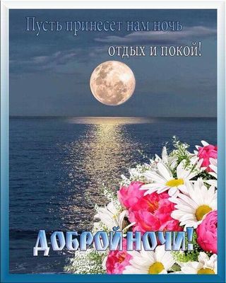 Открытка «Пожелание»: Доброй ночи! Отдых и покой под луной.. Тэги: друг, подруга, красивая, цветок, нежная, природа…