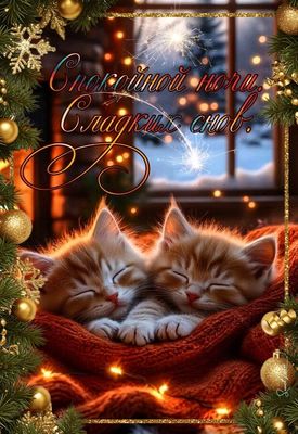 Открытка «Животное»: Спокойной ночи, Сладких снов — милые котята. Тэги: красивая, радость, настроение, нежная, зима…