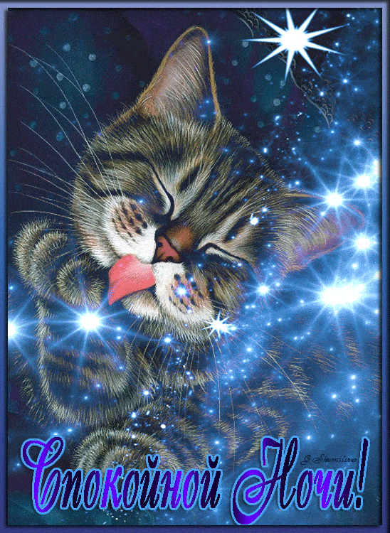 Открытка «Кот»: Красивая открытка «Спокойной Ночи!» с милым котом. Тэги: животное, пожелание, красивая, позитив, уют…