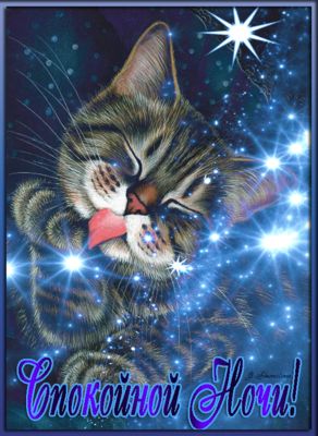 Открытка «Кот»: Красивая открытка «Спокойной Ночи!» с милым котом. Тэги: животное, пожелание, красивая, позитив, уют…