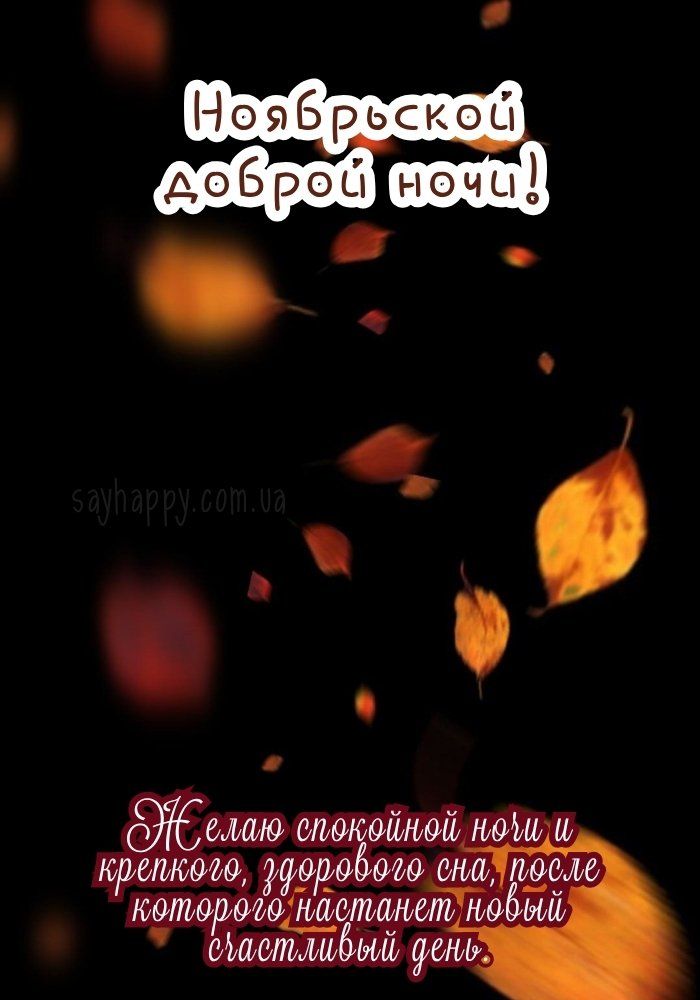 Открытка «Доброй ночи»: Ноябрьская добрая ночь: пожелания спокойного сна. Тэги: Спокойной ночи, пожелание, здоровье…
