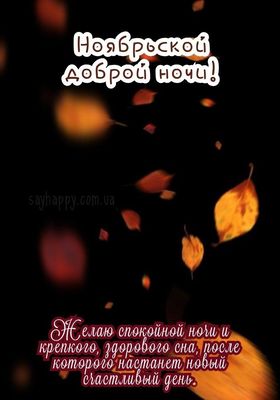 Открытка «Доброй ночи»: Ноябрьская добрая ночь: пожелания спокойного сна. Тэги: Спокойной ночи, пожелание, здоровье…