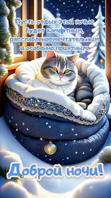 Открытка «Кот»: Доброй ночи: уютный кот и зимняя сказка. Тэги: животное, пожелание, красивая, окно, настроение, зима…