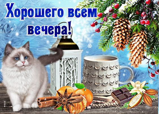Открытка «Добрый вечер и пожелания»: Добрый вечер и уютные зимние пожелания. Тэги: Добрый зимний вечер, Доброго вечер…