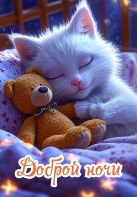 Открытка «Кот»: Доброй ночи: милый котик и плюшевый медвежонок. Тэги: животное, пожелание, радость, окно, ребенок…