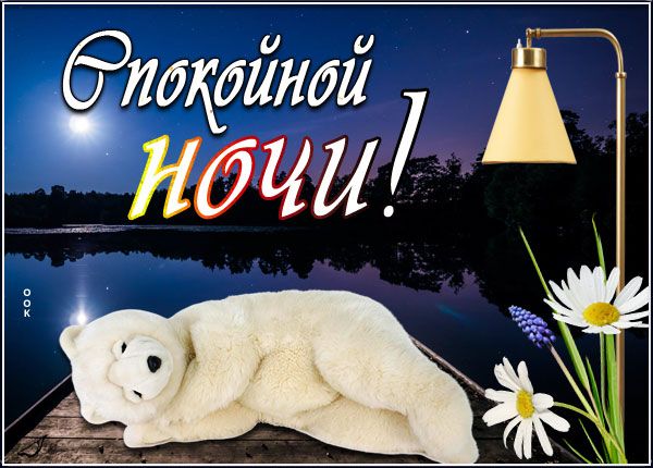 Открытка «Животное»: Спокойной ночи! Милый медвежонок и ночной пейзаж. Тэги: красивая, настроение, нежная, подушка…