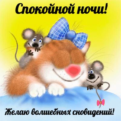 Открытка «Кот»: Спокойной ночи! Милая открытка для сна. Тэги: животное, пожелание, позитив, радость, сказка, мышь…