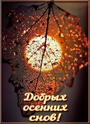 Открытка «Пожелание»: Добрых осенних снов! Волшебная открытка. Тэги: красивая, осень, настроение, нежная, природа…