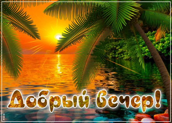 Открытка «Пожелание»: Добрый вечер! Тропический закат, пальмы, позитив. Тэги: красивая, позитив, радость, счастье…