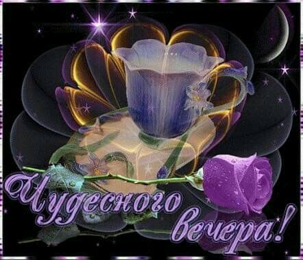 Открытка «Пожелание»: Чудесного вечера! Красивая мерцающая открытка. Тэги: красивая, кофе, радость, цветок, чашка…