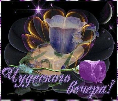 Открытка «Пожелание»: Чудесного вечера! Красивая мерцающая открытка. Тэги: красивая, кофе, радость, цветок, чашка…