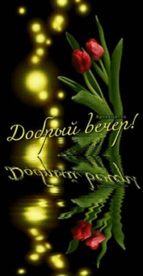 Открытка «Красивая»: Добрый вечер! Красивая мерцающая открытка с тюльпанами. Тэги: позитив, радость, цветок, настроен…